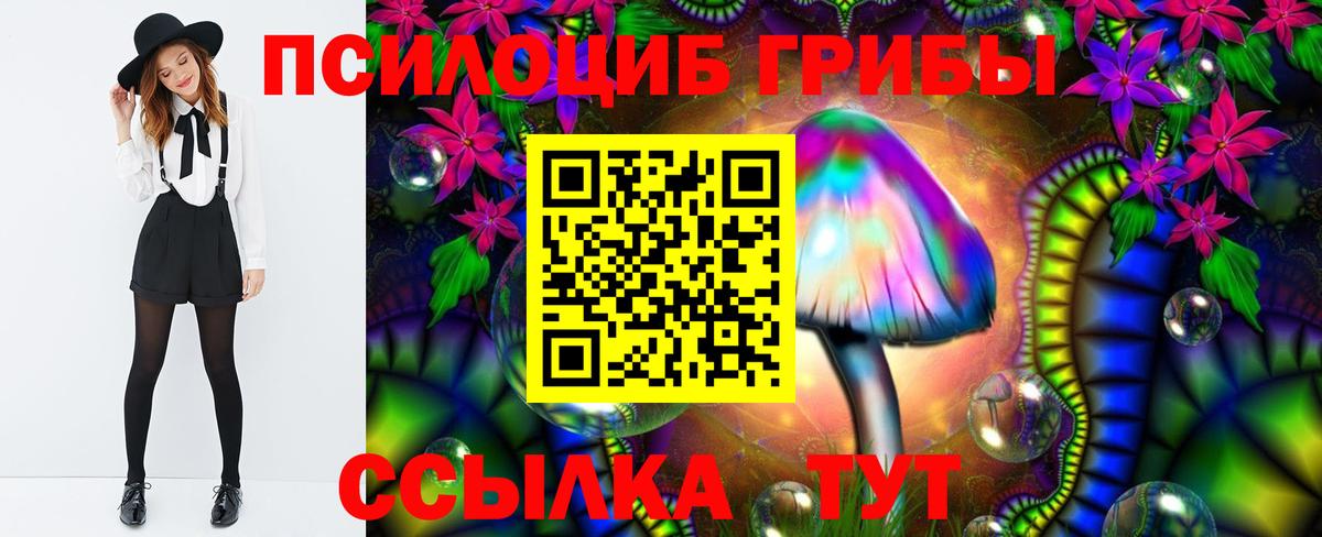 Галлюциногенные грибы GOLDEN TEACHER Воркута