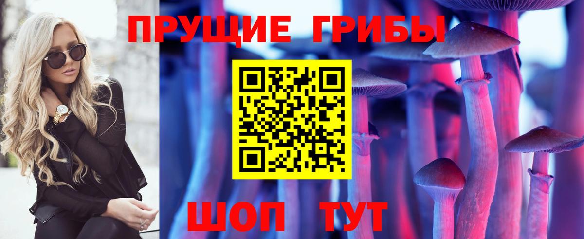 Воркута  Галлюциногенные грибы MAGIC MUSHROOMS  Вход с VPN 
