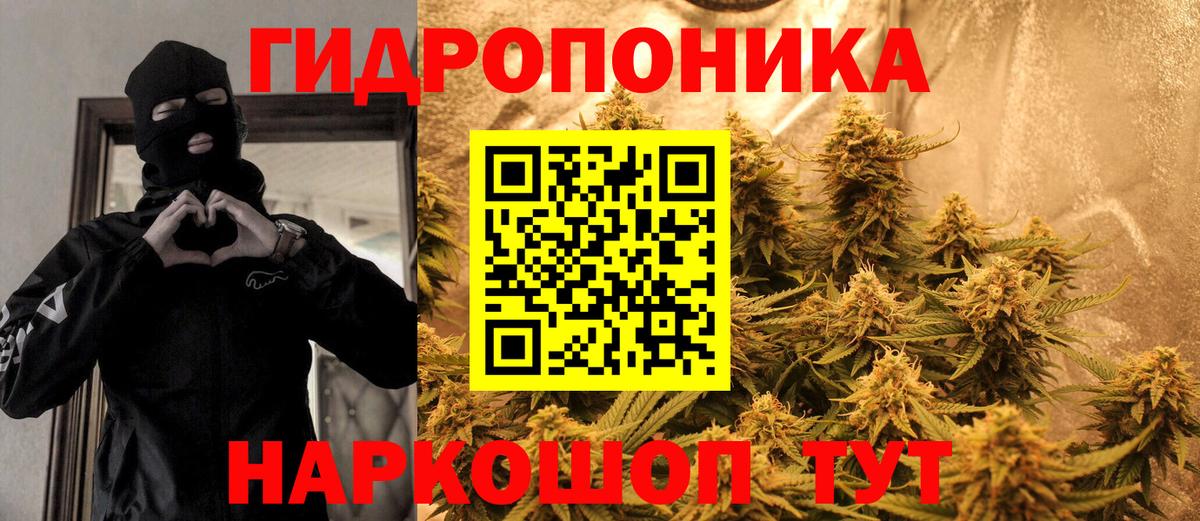 Марихуана семена Воркута